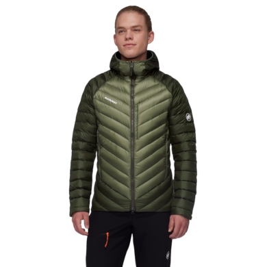 Mammut Winter-Daunenjacke Broad Peak Insulated Hooded (wärmend dank Daunenfüllung) 2025 grün Herren