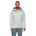 Mammut Hardshell-Wanderjacke Treeline HS Hooded (2-Lagen, wasserdicht, winddicht) silber/grau Herren