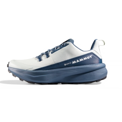 Mammut Wanderschuhe Aenergy Hike Low GTX (Multifunktion, wasserdicht) silber/dunkelblau Damen