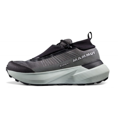Mammut Wanderschuhe Aenergy Ultra Low GTX (Multifunktion, wasserdicht) silber/grau Herren