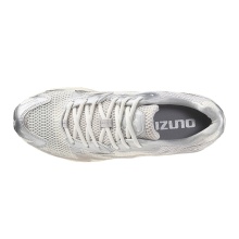 Mizuno Sneaker-Laufschuhe Wave Rider 10 grau/silber Herren