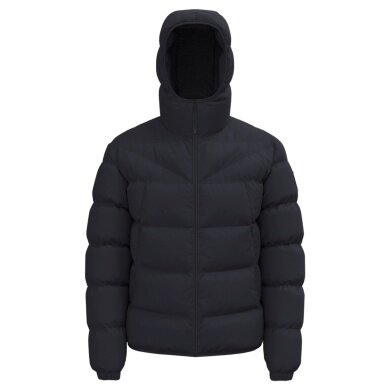 Napapijri Winter-Steppjacke Molveno mit Kapuze (Thermofibre™ Isolierung) dunkelblau Herren
