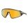 Oakley Sonnenbrille Latch panel (Glasfarbe: Prizm 24k) grau - 1 Brille