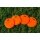 Powershot Markierungsscheiben 4er Set orange