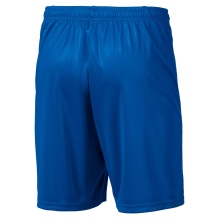Puma Sporthose Short Liga Core kurz blau Herren