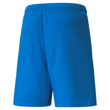 Puma Sporthose teamLIGA Shorts kurz blau Herren