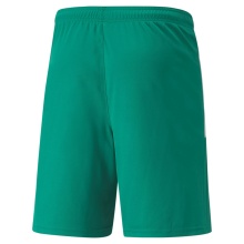Puma Sporthose teamLIGA Shorts kurz grün Herren