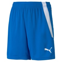 Puma Sporthose teamLIGA Shorts blau Kinder