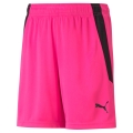 Puma Sporthose teamLIGA Shorts pink Kinder