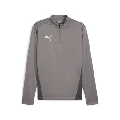 Puma Sport-Langarmshirt teamGOAL Training 1/4 Zip Top grau Herren