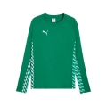 Puma Sport-Langarmshirt teamLIGA26 Training Sweat (100% rec. Polyester, atmungsaktiv) grün Herren