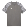 Puma Sport-Tshirt teamLIGA26 Jersey (100% rec. Polyester, atmungsaktiv) grau Herren