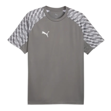 Puma Sport-Tshirt teamLIGA26 Jersey (100% rec. Polyester, atmungsaktiv) grau Herren