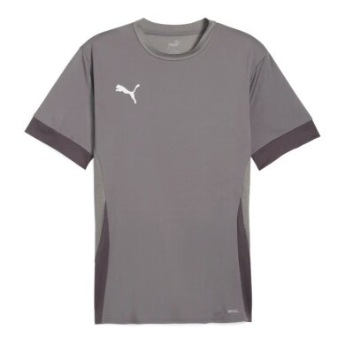 Puma Sport-Shirt teamGOAL Matchday Jersey grau Herren