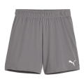 Puma Sporthose teamGOAL Shorts (100% rec. Polyester) kurz grau Damen