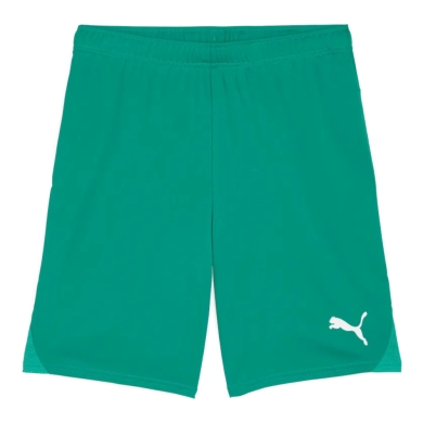 Puma Sporthose teamGOAL Shorts (100% rec. Polyester) kurz grün Herren