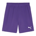 Puma Sporthose teamGOAL Shorts (100% rec. Polyester) kurz violett Herren