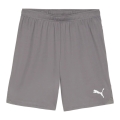 Puma Sporthose teamGOAL Shorts (100% rec. Polyester) kurz grau Herren