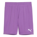 Puma Sporthose teamGOAL Shorts (100% rec. Polyester) kurz hellviolett Herren