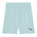 Puma Sporthose teamGOAL Shorts (100% rec. Polyester) kurz mintblau Herren