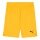 Puma Sporthose teamGOAL Shorts (100% rec. Polyester) kurz hellorange Herren