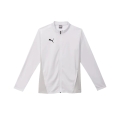 Puma Trainingsjacke teamGOAL Training Jacket (100% rec. Polyester, atmungsaktiv) weiss Herren