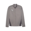 Puma Trainingsjacke teamGOAL Training Jacket (100% rec. Polyester, atmungsaktiv) grau Herren