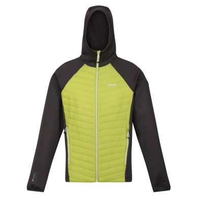 Regatta Hybridjacke Andreson VII (wasserabweisend, isolierend) grün Herren