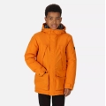 Regatta Winterjacke Paddrick Parka (wasserdicht, warm und wasserdicht) orange Kinder