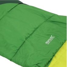 Regatta Schlafsack Hilo V2 250 (Sommerschlafsack, strapazierfähige und leichte) grün 220x80cm