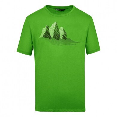 Salewa Tshirt Graphic Dry grün Herren