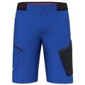 Salewa Wanderhose Short Pedroc Cargo 3 DST Outdoor (wasserabweisend, leicht) kurz elektrikblau Herren