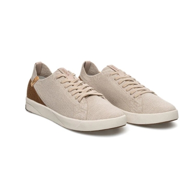Saola Sneaker Cannon Knit 2.0 Wool (Merinowolle) beige/braun Herren