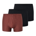 Schiesser Unterwäsche Boxershorts 95/5 Organic Cotton mehrfarbig schwarz/rotbraun/gestreift 924 Herren - 3 Stück