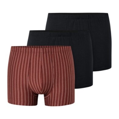 Schiesser Unterwäsche Boxershorts 95/5 Organic Cotton mehrfarbig schwarz/rotbraun/gestreift 924 Herren - 3 Stück