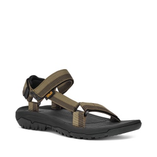 Teva Sandale Hurricane XLT2 Archive Ladder olivegrün Herren