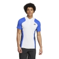 adidas Tennis-Polo Pro FreeLift Heat.Rdy weiss/blau/schwarz Herren