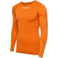 hummel Funktionsunterwäsche Langarmshirt hmlBL Comfort 2.0 Tee orange Herren
