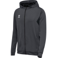 hummel Sport-Kapuzenjacke hmlAUTHENTIC PL Zip Hoodie (100% rec. Polyester) asphaltgrau Herren