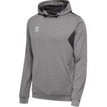 hummel Sport-Kapuzenpullover hmlAUTHENTIC PL Hoodie (mit Reißverschlusstaschen) grau Herren