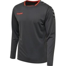 hummel Sport-Langarmshirt hmlAUTHENTIC Poly Jersey (leichter Jerseystoff) asphaltgrau Herren