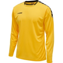 hummel Sport-Langarmshirt hmlAUTHENTIC Poly Jersey (leichter Jerseystoff) gelb/schwarz Herren