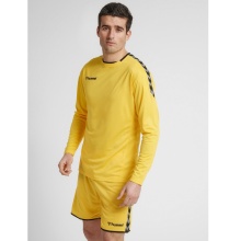 hummel Sport-Langarmshirt hmlAUTHENTIC Poly Jersey (leichter Jerseystoff) gelb/schwarz Herren