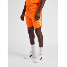 hummel Sporthose hmlCORE XK Poly Shorts (robuster Doppelstrick, ohne Seitentaschen) Kurz orange Herren