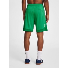 hummel Sporthose hmlLEAD Poly Shorts (Mesh-Stoff) Kurz grün Herren