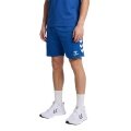 hummel Sporthose hmlCORE 2.0 Shorts (angenehmes Tragegefühl) kurz blau/weiss Herren