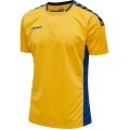 hummel Sport-Tshirt hmlAUTHENTIC Poly Jersey (leichter Jerseystoff) Kurzarm gelb/blau Herren