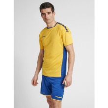 hummel Sport-Tshirt hmlAUTHENTIC Poly Jersey (leichter Jerseystoff) Kurzarm gelb/blau Herren