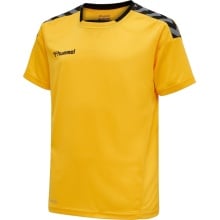 hummel Sport-Tshirt hmlAUTHENTIC Poly Jersey (leichter Jerseystoff) Kurzarm gelb/schwarz Kinder