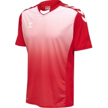 hummel Sport-Tshirt hmlCORE XK Sublimation Jersey (Interlock-Stoff, Beecool) Kurzarm rot Herren